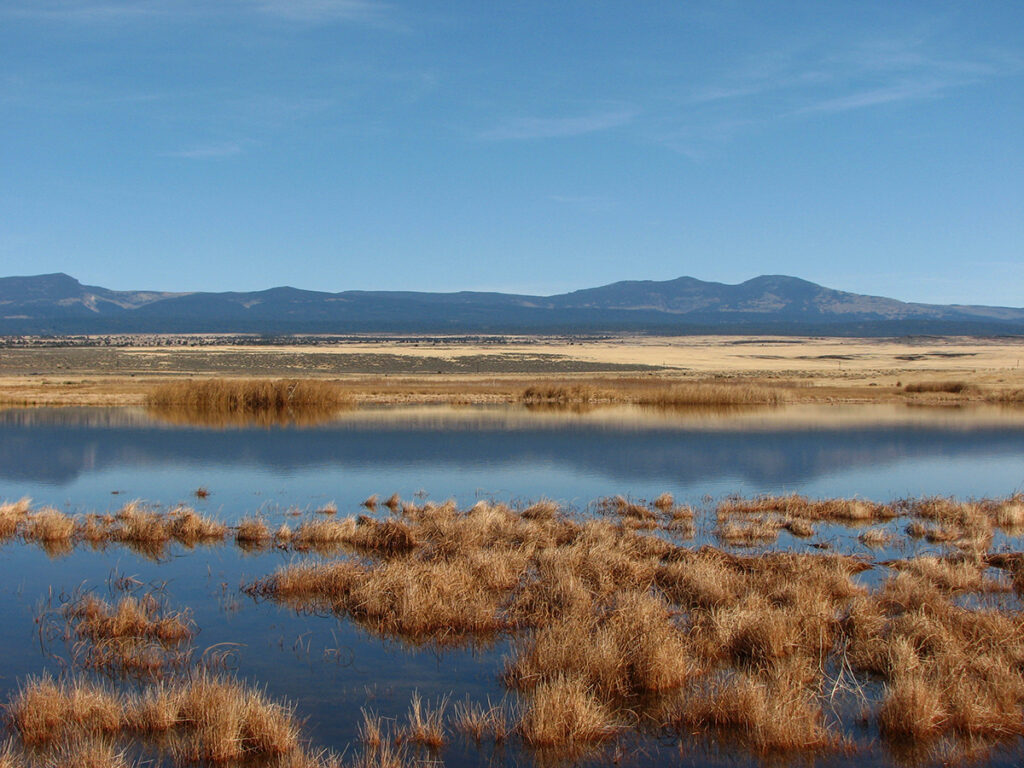 A picturesque marsh area surrounded by rich plant life, with impressive mountains looming in the background under sunny weather.