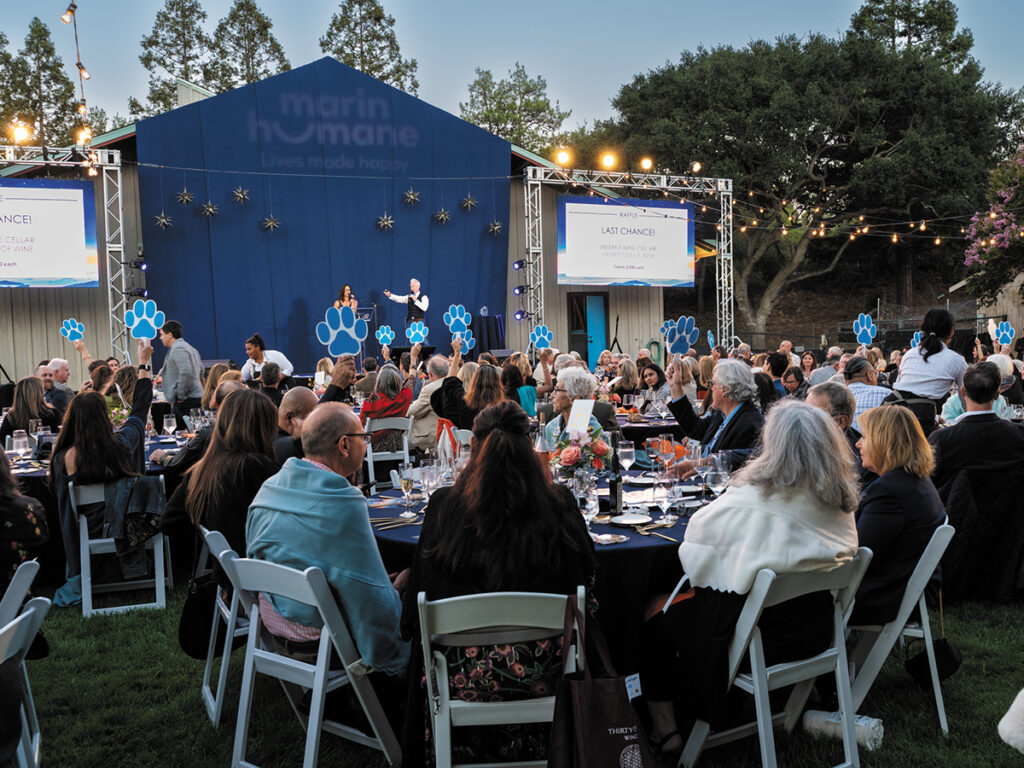 A large crowd of people seated at tables enjoying a gathering in a grassy field under a clear sky.