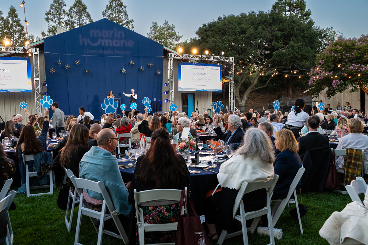 A large crowd of people seated at tables enjoying a gathering in a grassy field under a clear sky.
