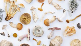 Farmers Market Finds: Recipes That Showcase Marin's Bounty