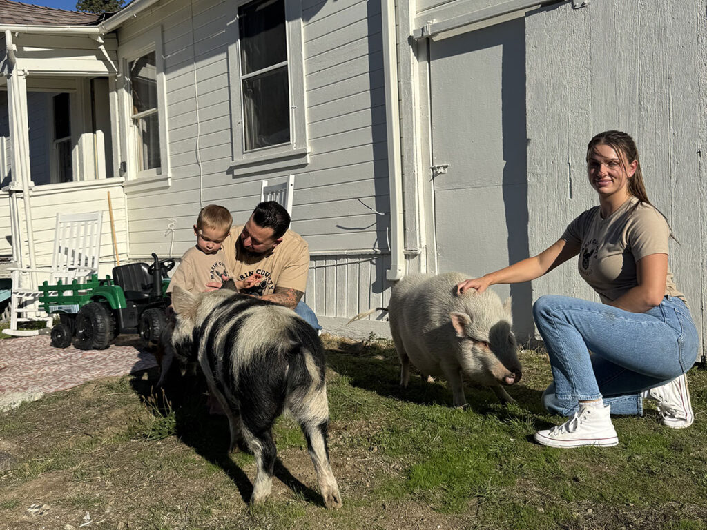 Gamble, Spencer, Danny with their pet pigs