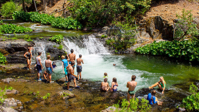A group of kids in swimsuits enjoy a small waterfall and pool in a lush, green forest.
