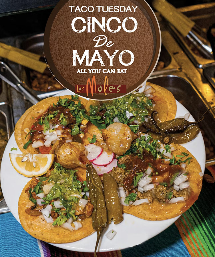 Los Moles Hecho en Casa Cinco de Mayo