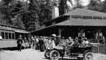 Black and white old photo President Roosevelt’s second wife Edith visited Muir Woods as guests of the Kents in 1911