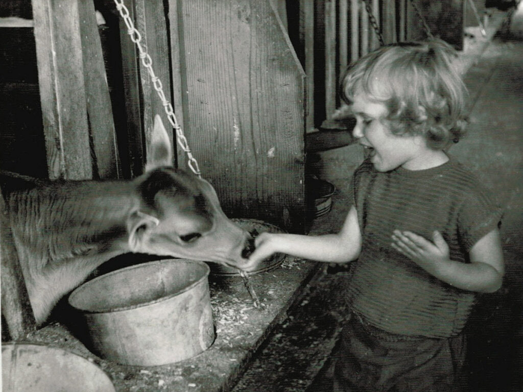 Young Vivien feeding a calf