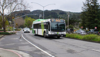 A green and white public bus on route 17 travels along a tree-lined street with a mountainous backdrop under a cloudy sky.
