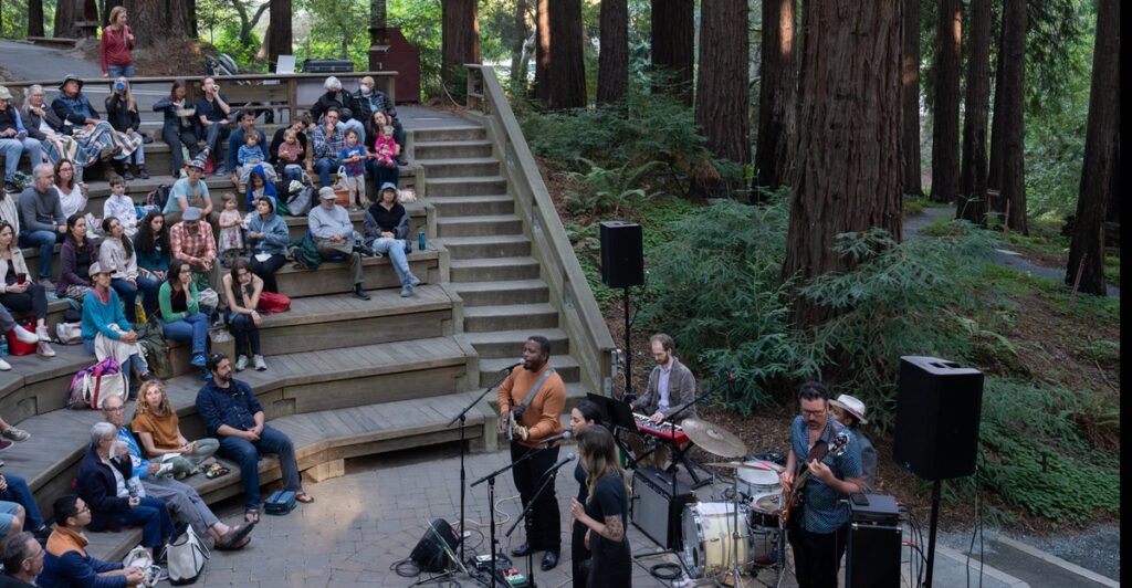 Redwood Grove Concert at UC Botanical Garden.