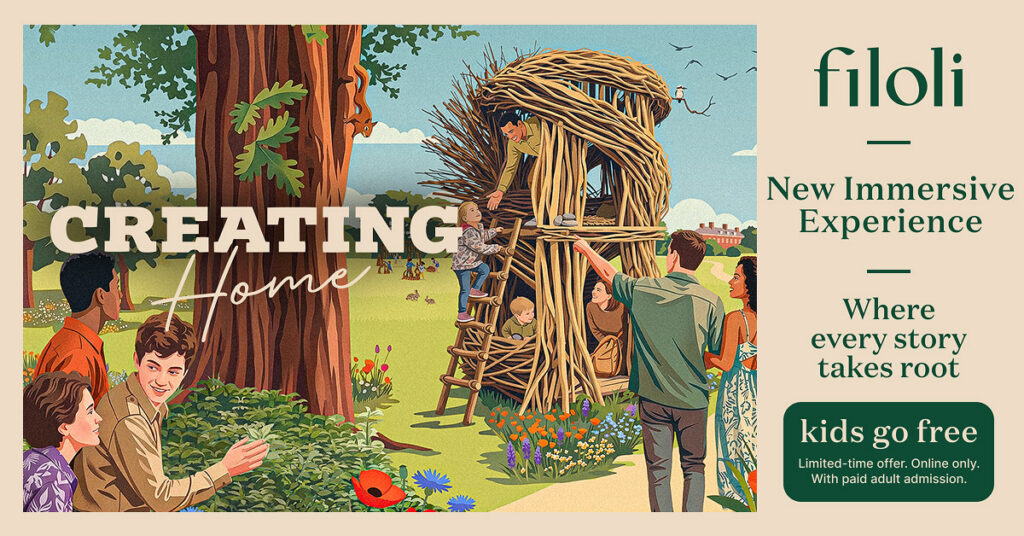 Fioli - Creating - Home