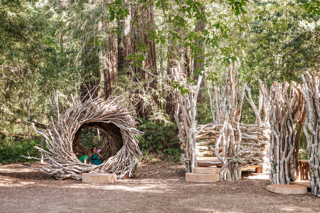 Fioli - Creating Home - Kids, Plants, Trees