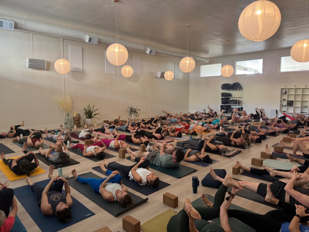 A group of yoga students in the middle of a class.