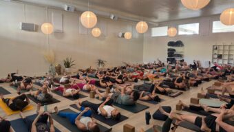 A group of yoga students in the middle of a class.