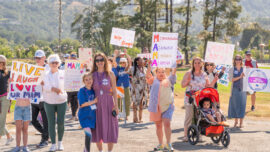 A group of protesters/supporters.
