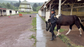 Simone Walking Cooper Through The Barn