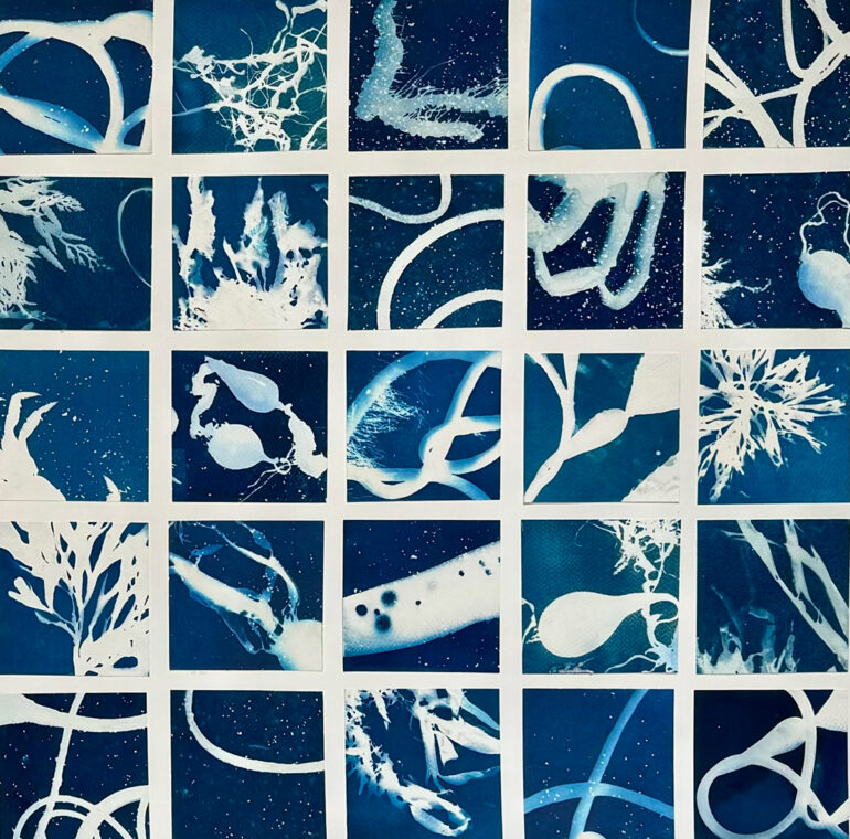 Anne Faught - The Edge of the Continent