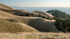 Mt Tamalpais marin county