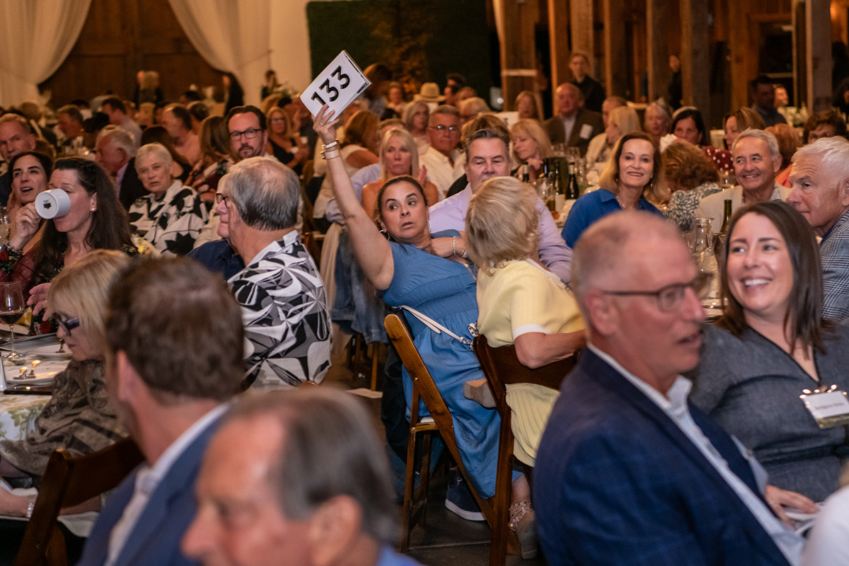 A Night in Tuscany Live Auction, Photo Credit Stuart Lirette