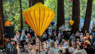 Children’s Grove, Photo Credit Bob Dell