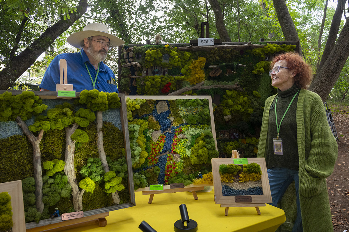 MVFAF 2026 Tim Dunnagan, Mixed Media and partner Jan Dunnagan, Photo Credit Suz Lipman