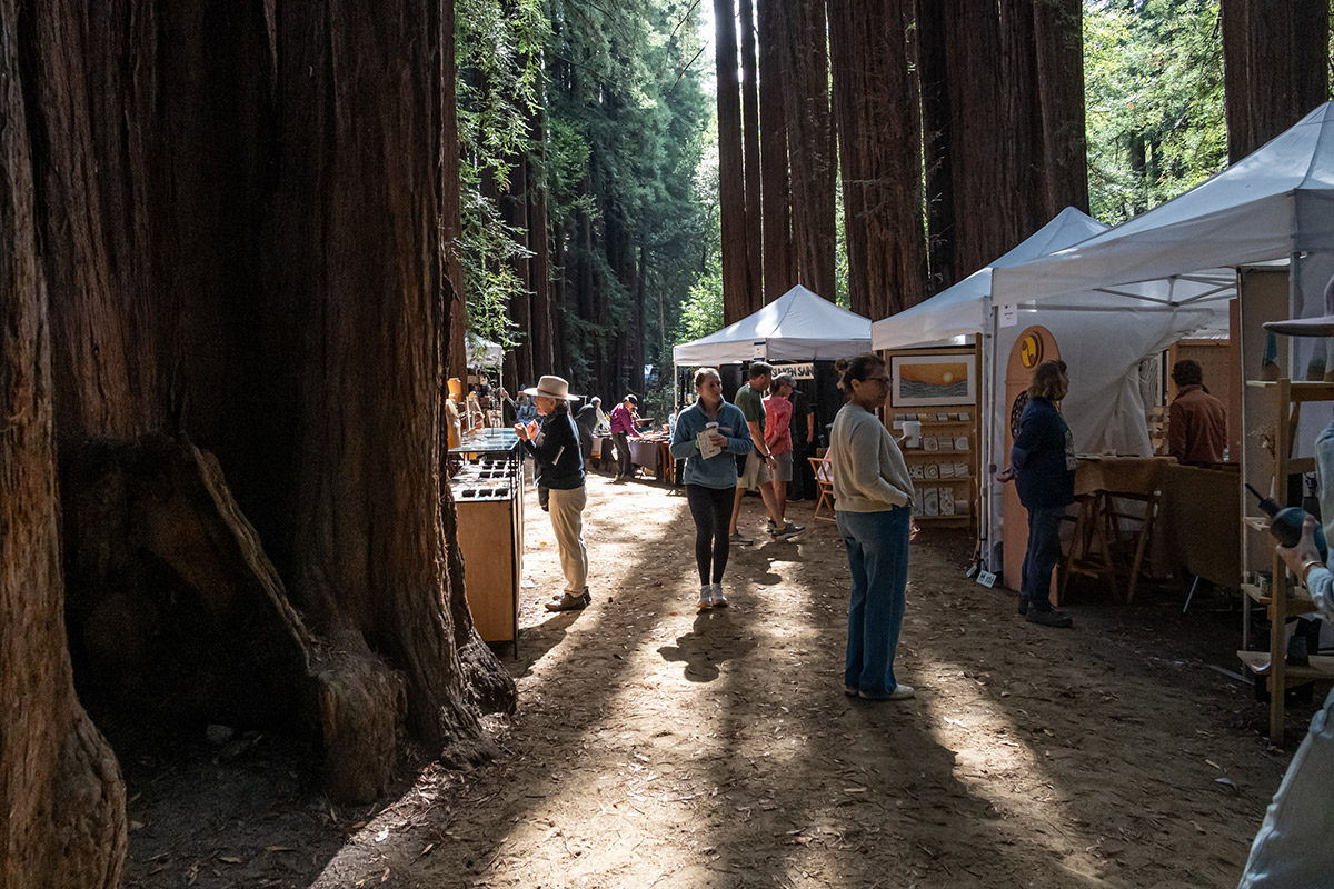 Mill Valley Fall Arts Festival, Photo Credit Candace Swimmer