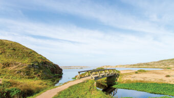 A narrow dirt path leads to a small wooden bridge over a tranquil stream with green vegetation and hills on either side. The sky is clear with a few wispy clouds, echoing the serene beauty found on wild beaches, creating a picturesque landscape.