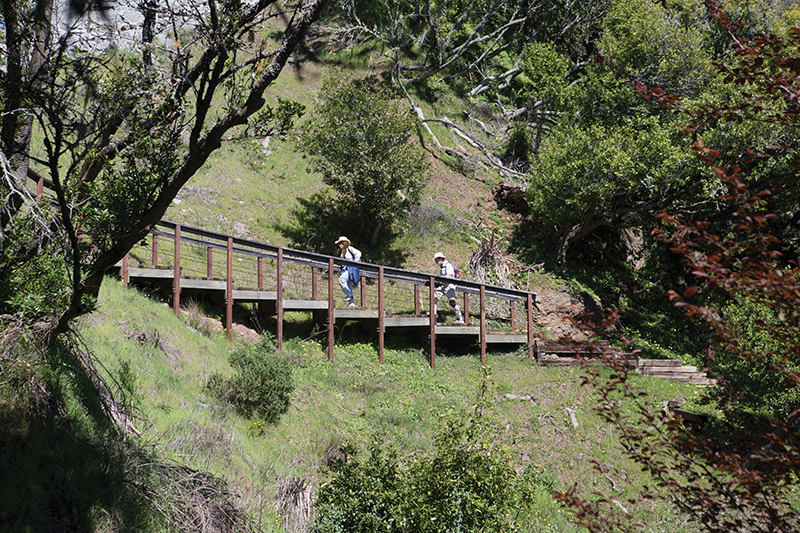 Dipsea stairs 