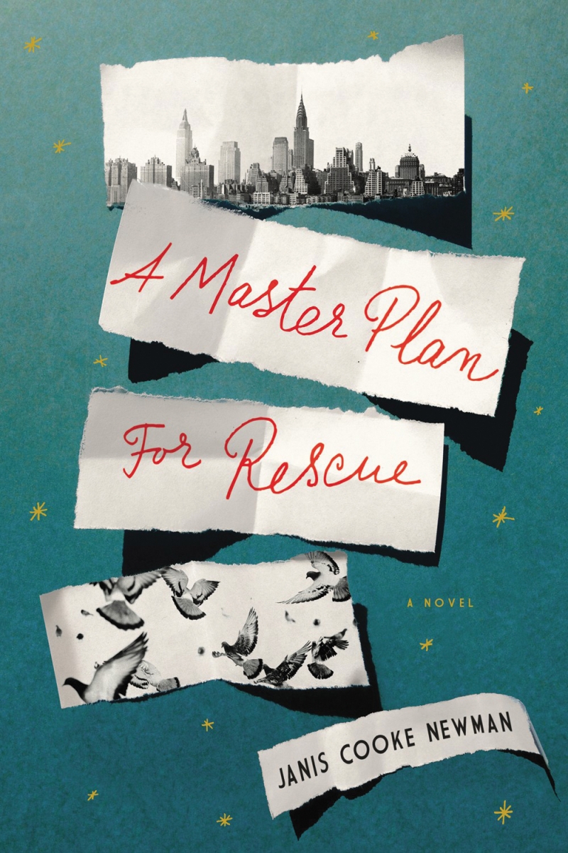 A Master Plan for Rescue Book 