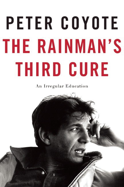 The Rainman's Third Cure book 