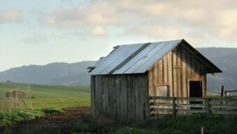 A small, rustic wooden barn with a metal roof stands in a green field near Point Reyes. A wooden fence is partially visible on the right, and the background features rolling hills under a cloudy sky. The setting appears peaceful and rural, capturing the charm that makes Point Reyes Station a beloved spot for tourism.