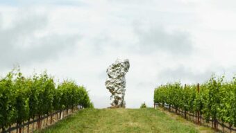 TDE May 2, Fields of Dreams, Marin Magazine