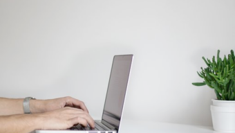 A pair of hands typing on a laptop placed on a white desk. A potted succulent plant is situated to the right of the laptop near the edge of the desk, hinting at a serene workspace ideal for a Digital Marketing Associate. The background is a plain, light-colored wall.