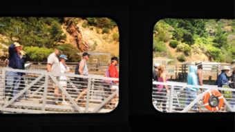 View through ferry windows of people walking on a dock. The scene shows individuals wearing casual summer clothes and hats, with greenery and rocky terrain in the background. A life preserver is mounted on the dock railing, like a frame in a captivating picture or an adventurous game by the sea.