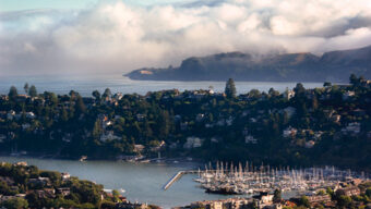 Aerial view of a coastal town, featuring a harbor filled with numerous boats docked at a marina. Dense, lush greenery surrounds the bay, and in the background, fog-covered hills and a body of water extend towards the horizon like a different creature's expanse. The sky is partly cloudy.