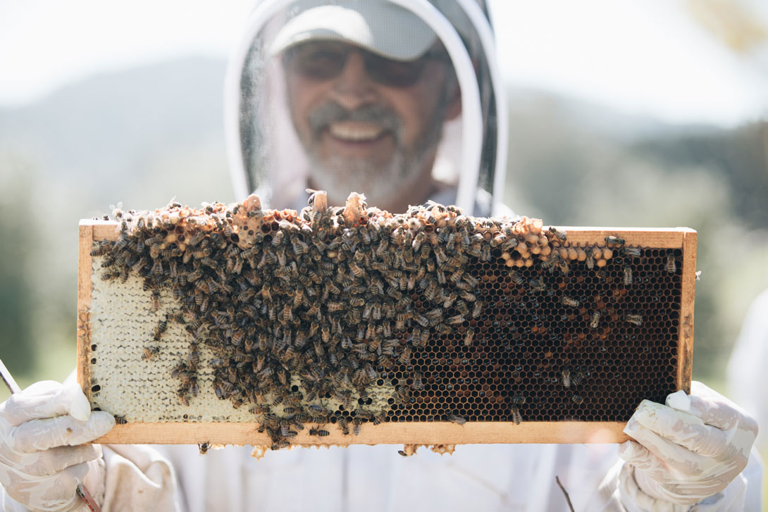 From Flower to Flute: Meet the Mead-Maker - Marin Magazine