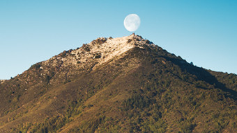 Mount Tam
