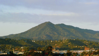 Hands on Tam Winter Workday, Marin Magazine
