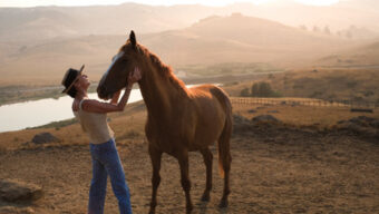 A person in a black hat and jeans stands on a dry, grassy landscape, gently holding and petting Danehill's head. The background features rolling hills, a small lake, and a hazy sky illuminated by the setting sun.