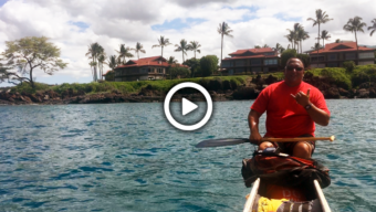 Whales in Maui, Marin Magazine