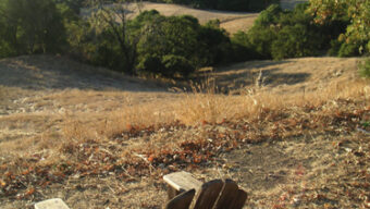 A wooden Adirondack chair sits on a dry, grassy hilltop overlooking a picturesque valley with rolling hills and dense tree cover. In the distance, mountains rise under a clear sky, creating a peaceful, scenic landscape—a perfect spot for anyone Boonville Bound.