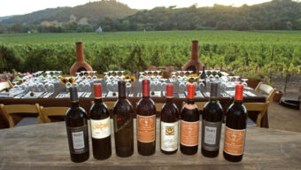 A row of eight wine bottles is displayed on a wooden table. In the background, there is a long dining table set with plates, glasses, and cutlery. Beyond the table is a green vineyard with hills in the distance under a setting sun, each bottle carefully selected from renowned appellations.