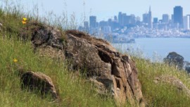 What Ring Mountain Really Has to Offer, Marin Magazine