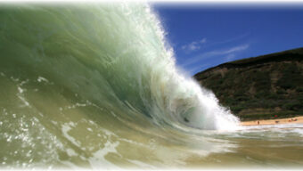 A large ocean wave is captured mid-break with its translucent, greenish water forming a crest. In the background, a sandy beach and a hillside with lush vegetation create a scene of paradise under the clear blue sky. A few people on the shore witness the wave's power and beauty.