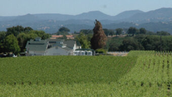 A lush vineyard stretches across the foreground, leading to a cluster of white buildings with green roofs nestled among trees. This connoisseur's heaven is framed by rolling hills and mountainous terrain under a clear blue sky.