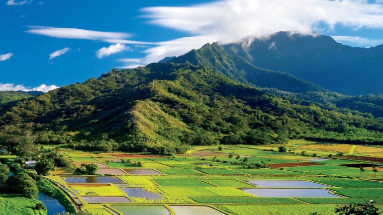 Hawaii's National Parks, Marin Magazine