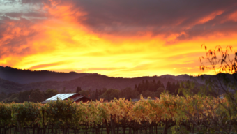 Yountville Winery at Sunset, Valley of Wonder, Marin Magazine
