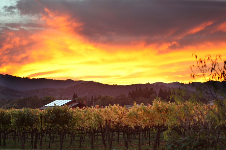 Yountville Winery at Sunset, Valley of Wonder, Marin Magazine