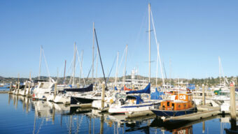 A marina in Sausalito with numerous sailboats and a few motorboats docked in calm water. The sky is clear and blue, while the surrounding landscape features rolling hills and distant buildings. The scene is serene and bathed in sunlight.