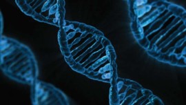 DNA, Where Should I Test My Genes?, Marin Magazine