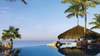 An infinity pool overlooking the ocean with tall palm trees and a thatched-roof hut. The clear blue sky and calm water create a tranquil and serene tropical setting, perfect for a luxury getaway in Cabo San Lucas.