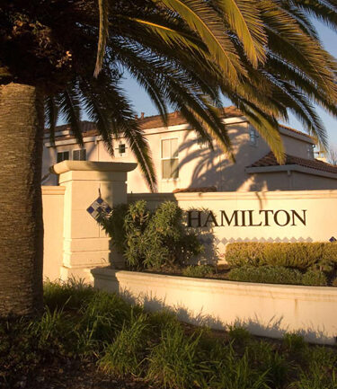 A tall palm tree and lush greenery in the foreground partially shadow a beige sign with "Hamilton" written on it. The sign appears to be part of a wall encircling a residential area, reminiscent of a Broadway set, with a two-story house visible in the background.
