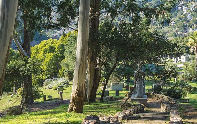 Back to Earth at Local Cemeteries, Marin Magazine